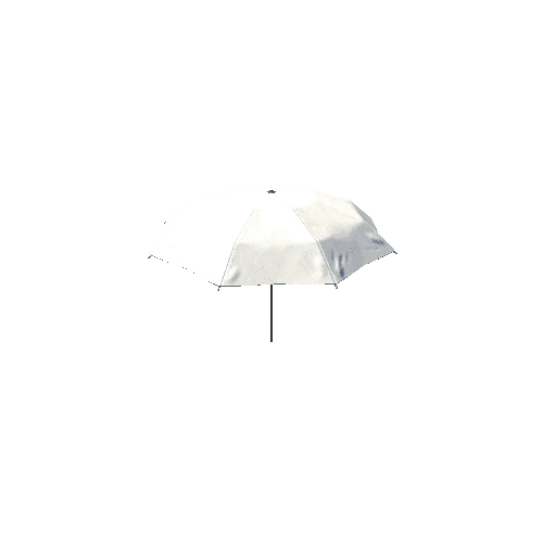 Umbrella Translucent